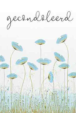 Pakje Condoleancekaarten 6stuks met Enveloppen