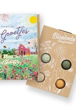 Bloembommetjes Giftbox mini "Groetjes" - Blossombs