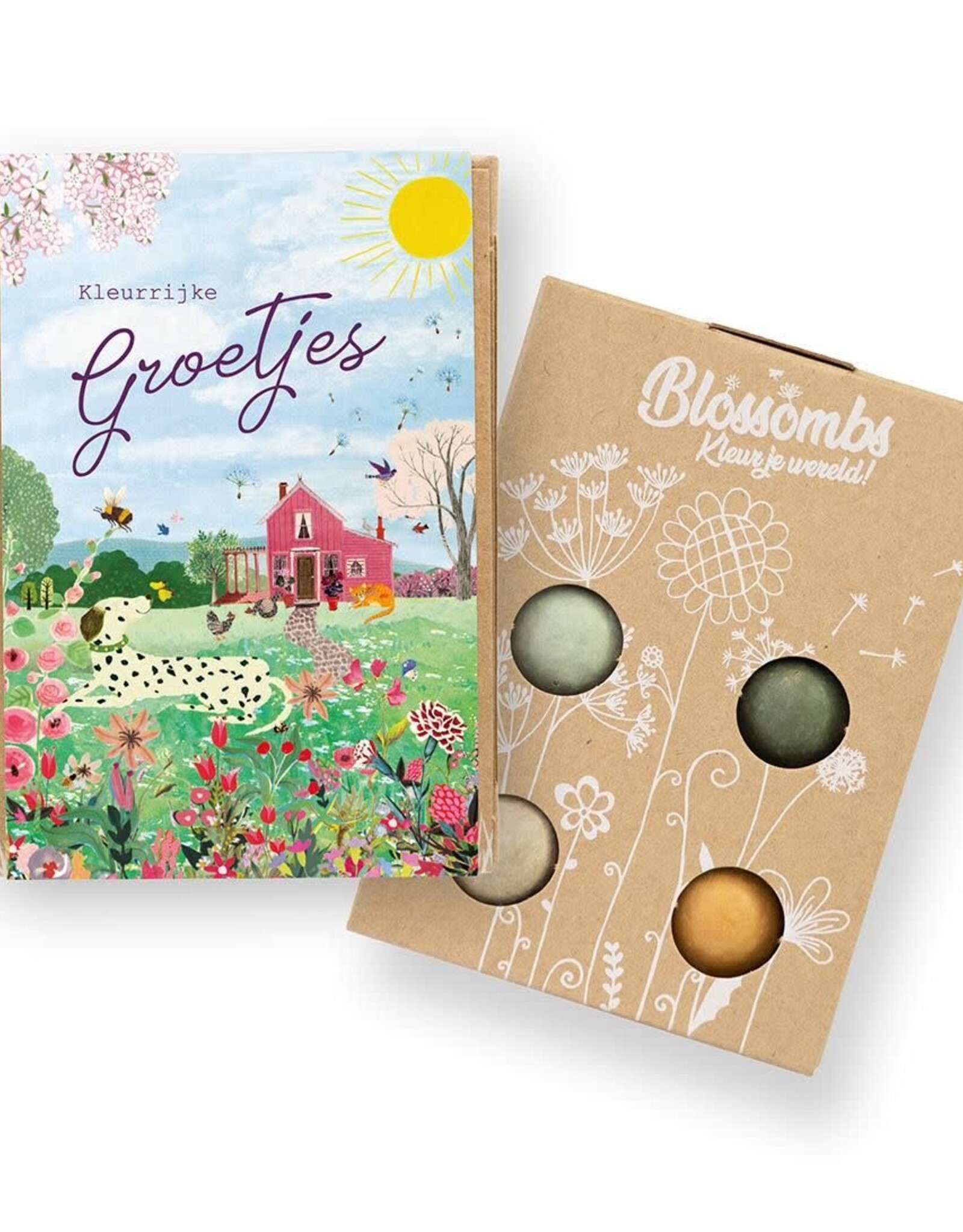 Bloembommetjes Giftbox mini "Groetjes" - Blossombs