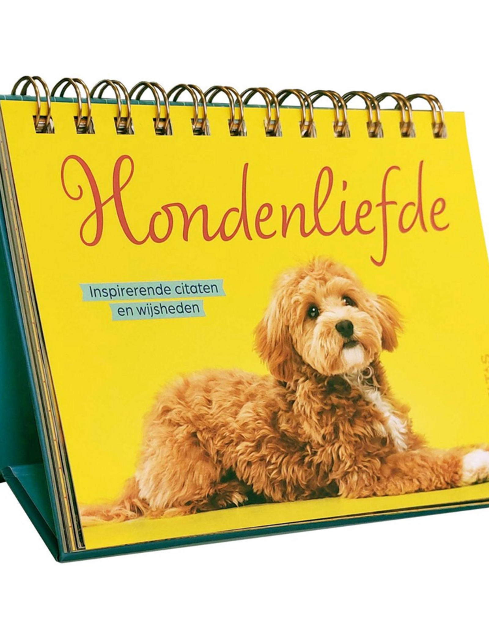 Deltas Hondenliefde Inspirerende citaten en wijsheden - Tafelstaander