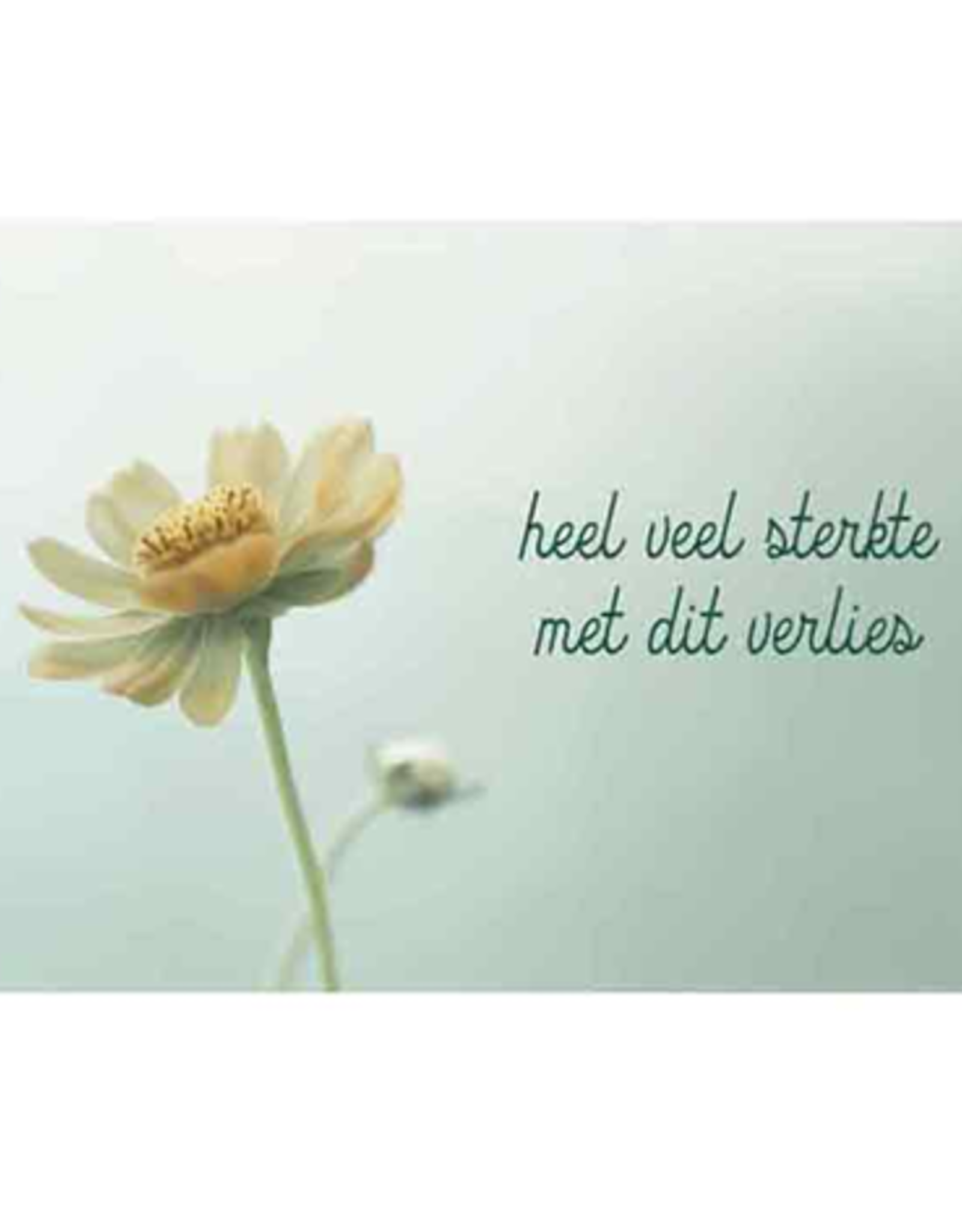 Heel veel Sterkte met dit Verlies - Wenskaart Compassion