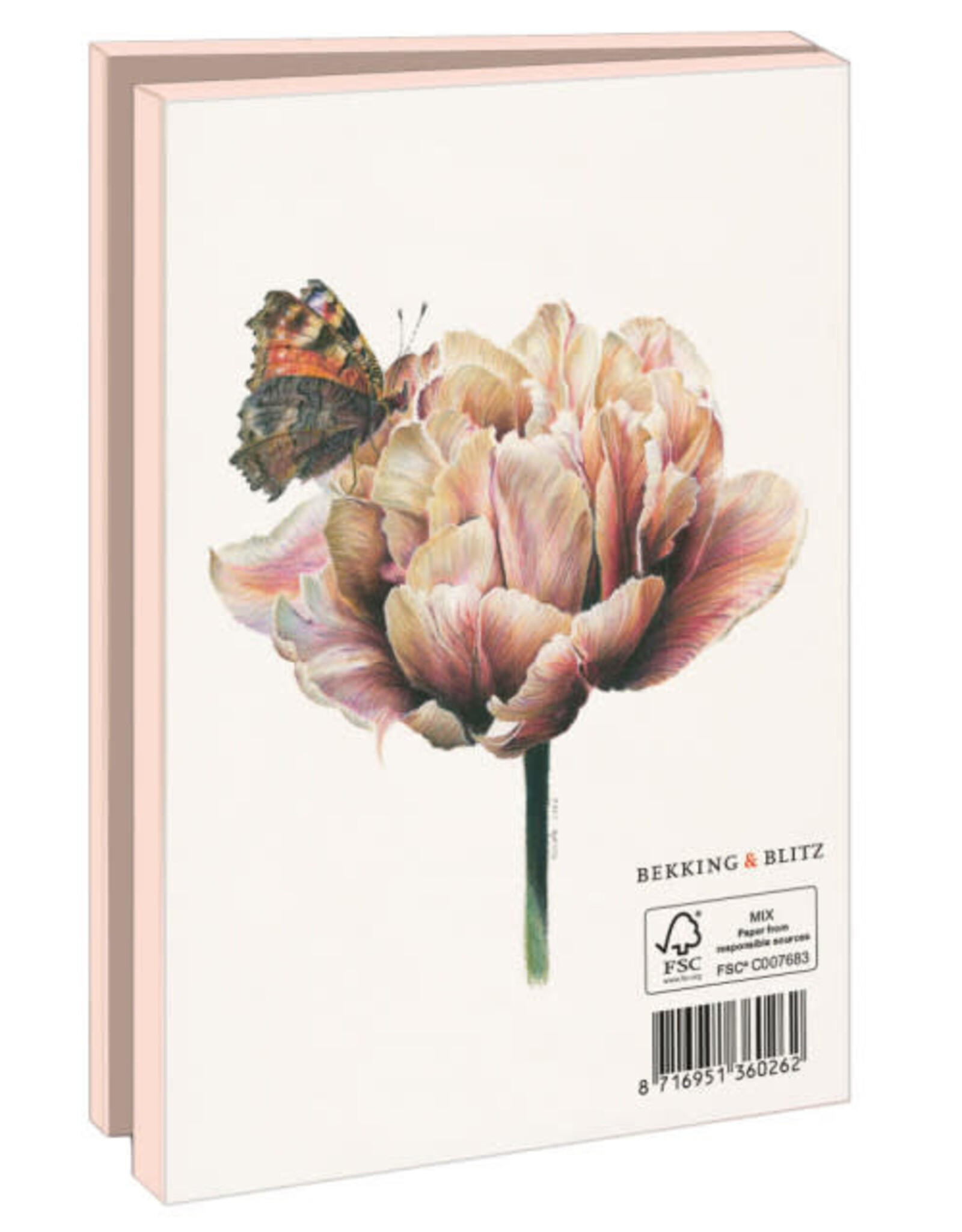 Kaartenmapje met env, klein: Nicole Boerema