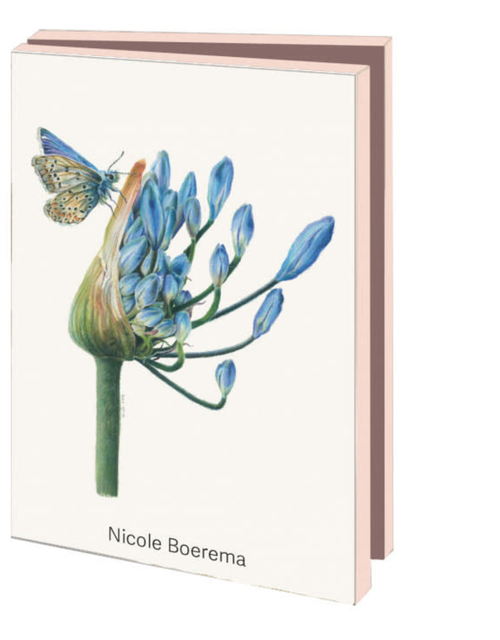 Kaartenmapje met env, klein: Nicole Boerema