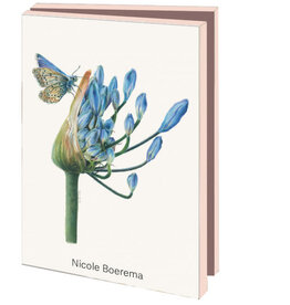 Kaartenmapje met env, klein: Nicole Boerema