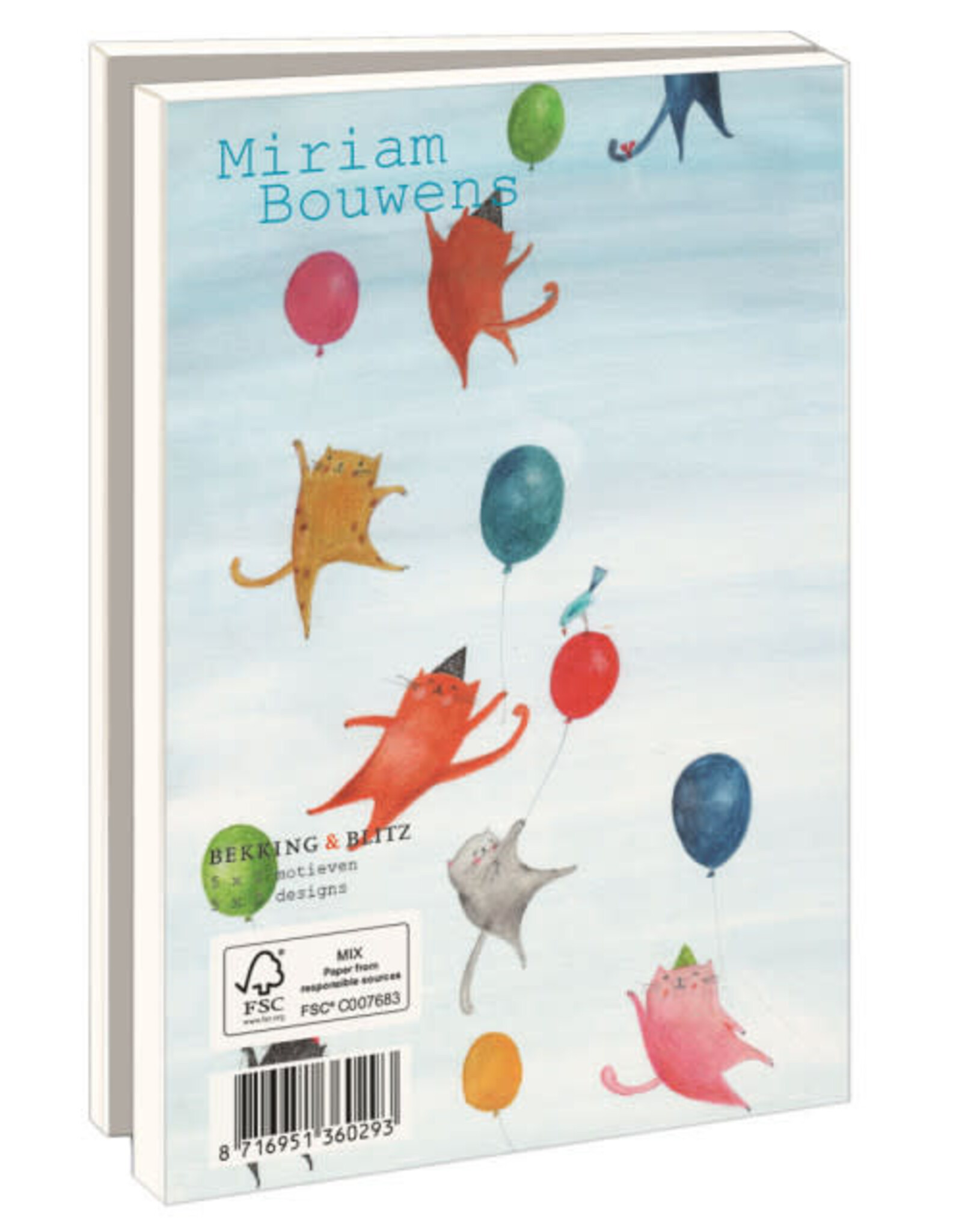 Kaartenmapje met env, klein: Miriam Bouwens