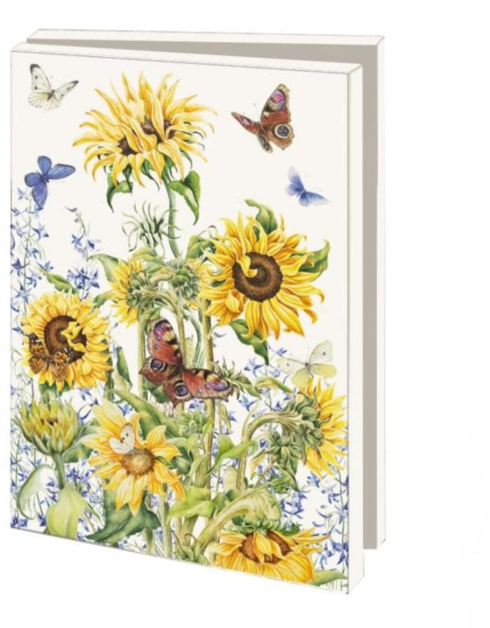 Kaartenmapje met env, klein: Summertime, Janneke Brinkman-Salentijn