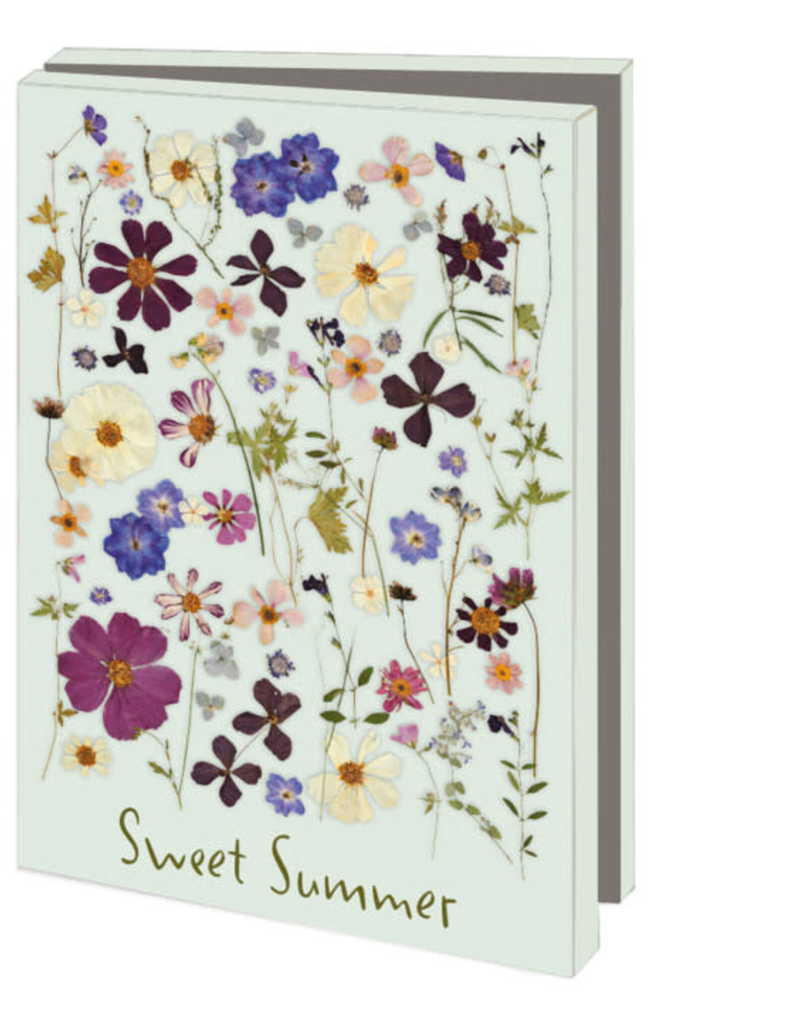 Kaartenmapje met env, klein: Sweet Summer, Janny van den Broek