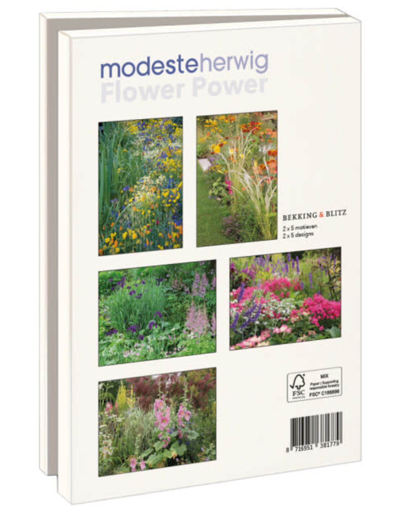 Kaartenmapje met env, groot: Flower Power, Modeste Herwig