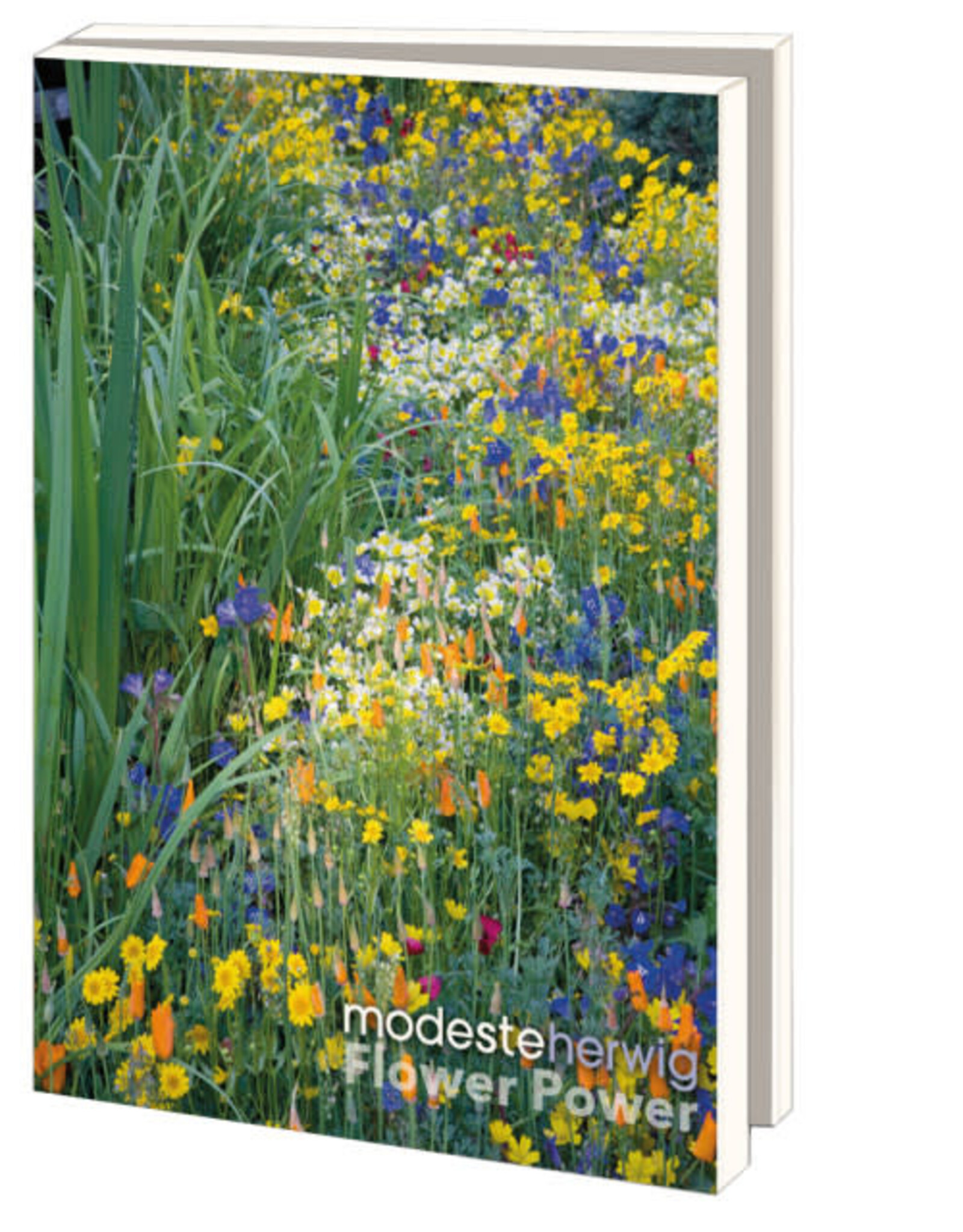 Kaartenmapje met env, groot: Flower Power, Modeste Herwig