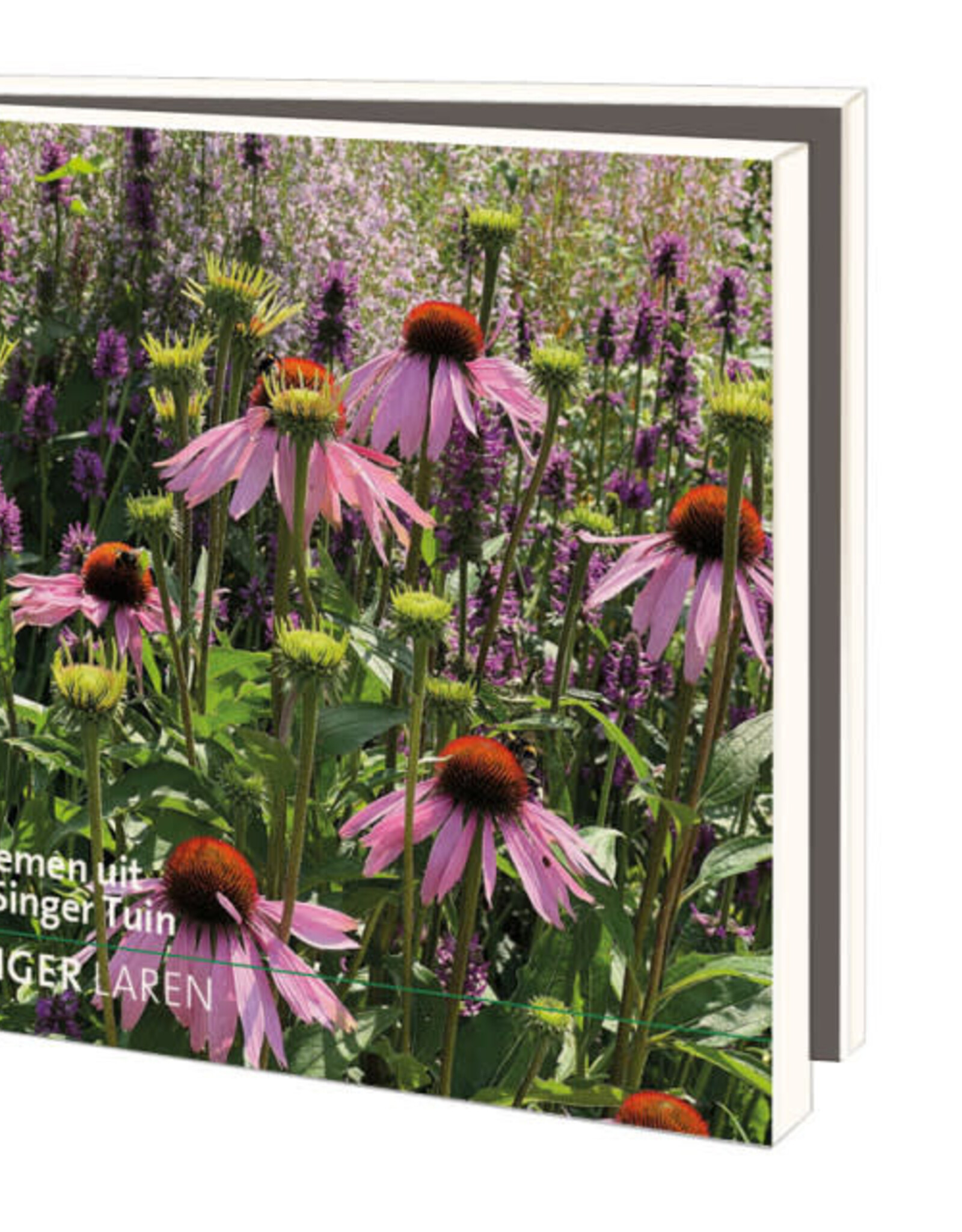 Kaartenmapje met env, vierkant: Tuin, Singer Laren