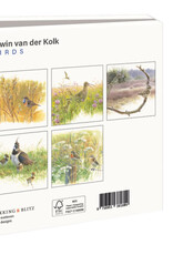 Kaartenmapje met env, vierkant: Birds, Elwin van der Kolk