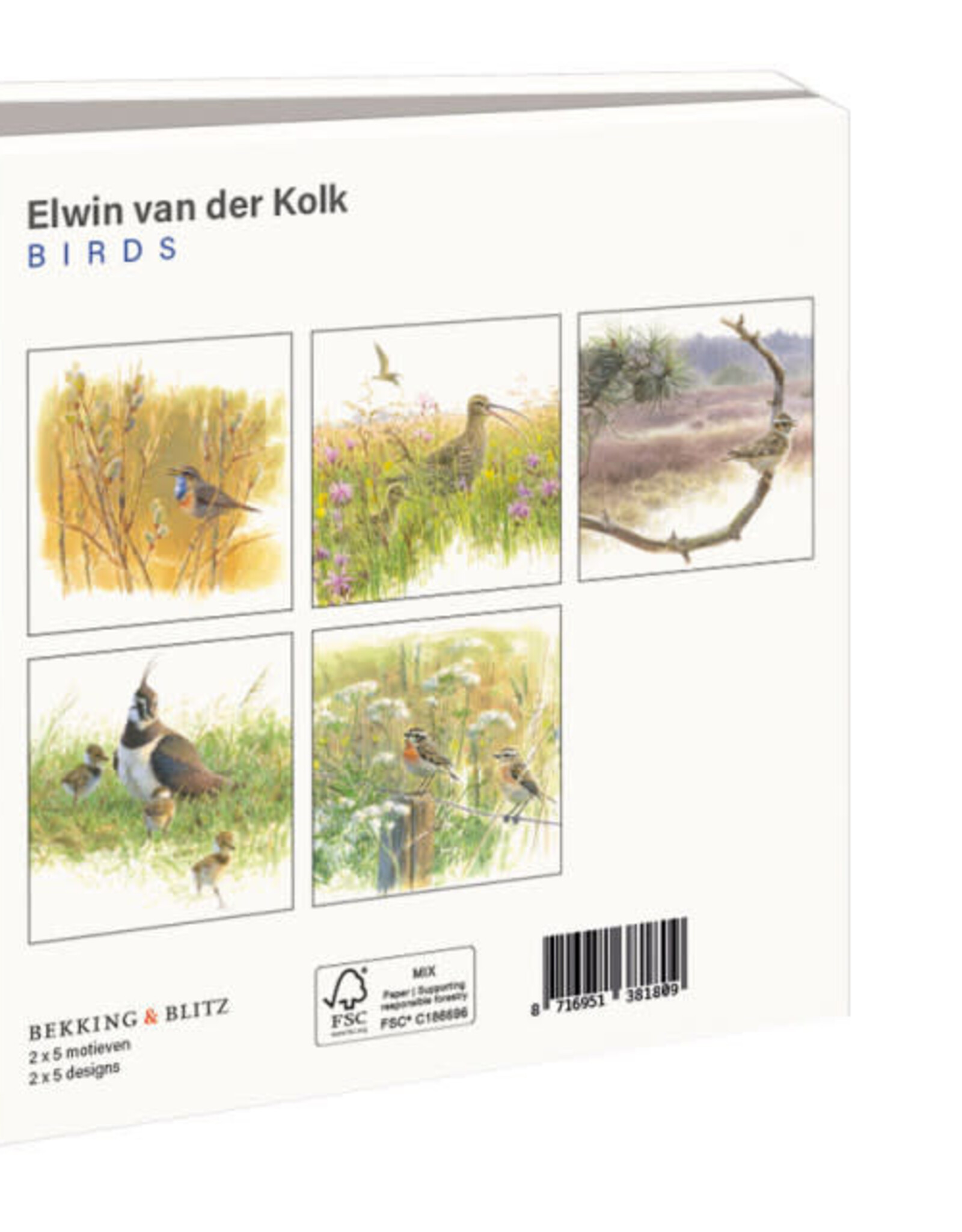 Kaartenmapje met env, vierkant: Birds, Elwin van der Kolk