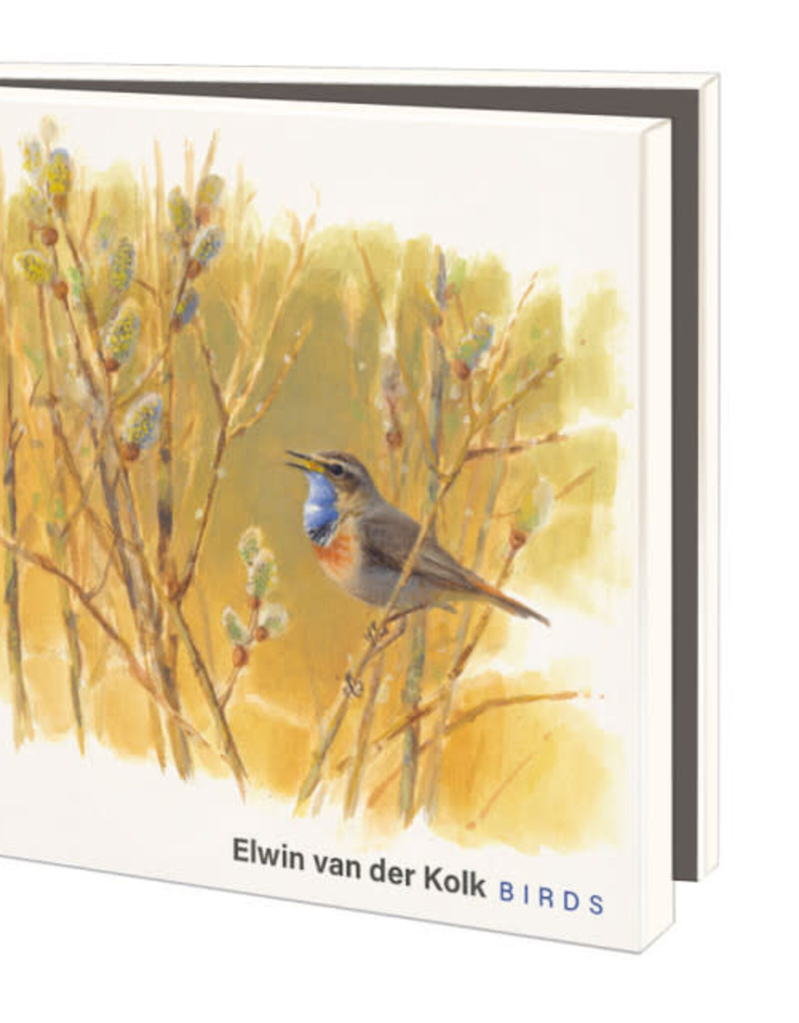 Kaartenmapje met env, vierkant: Birds, Elwin van der Kolk