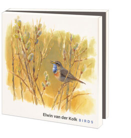 Kaartenmapje met env, vierkant: Birds, Elwin van der Kolk