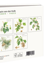 Kaartenmapje met env, vierkant: Bomen, Elwin van der Kolk