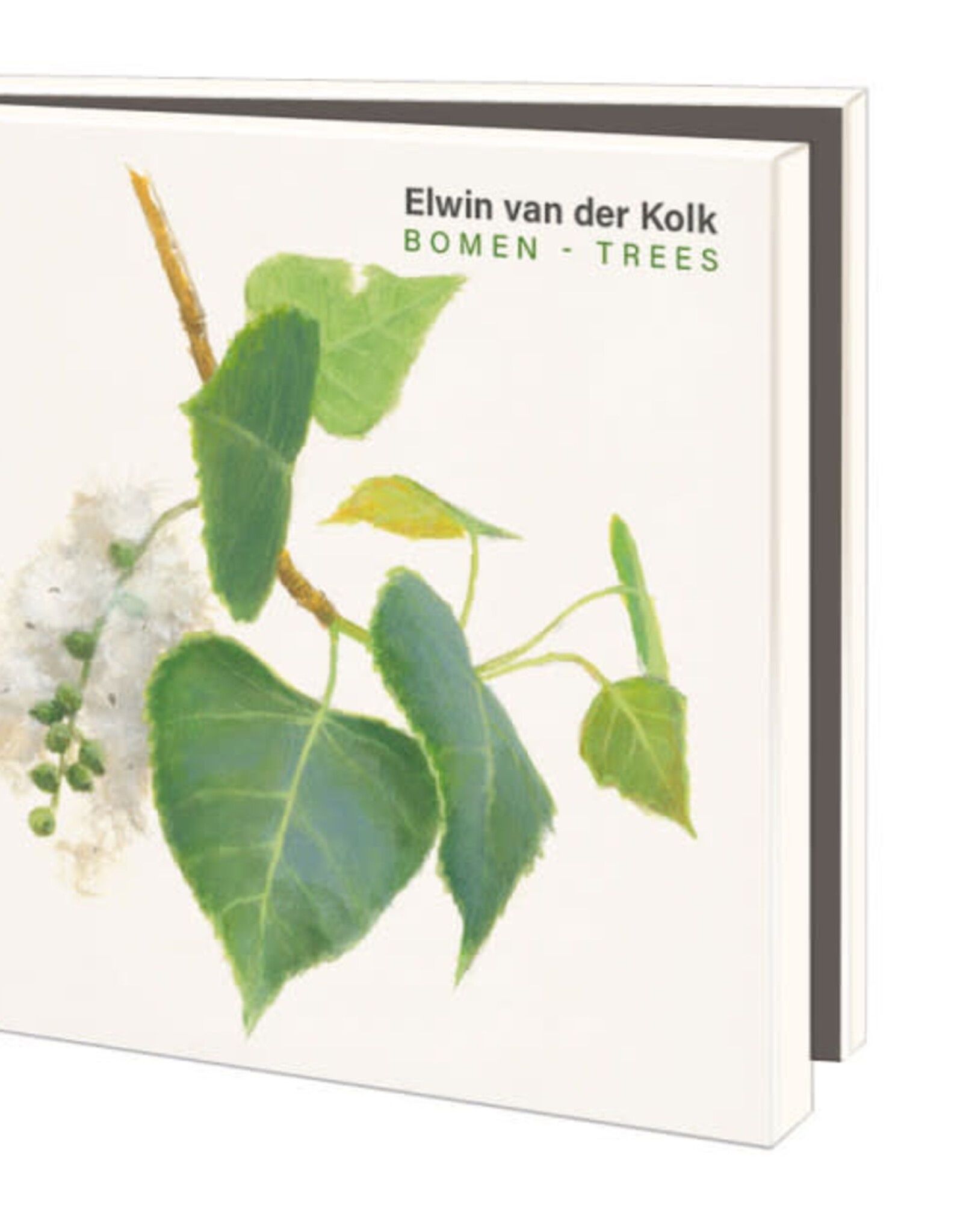 Kaartenmapje met env, vierkant: Bomen, Elwin van der Kolk