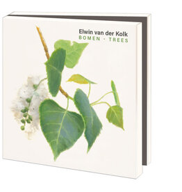 Kaartenmapje met env, vierkant: Bomen, Elwin van der Kolk