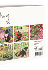 Kaartenmapje met env, vierkant: Franciens katten, Francien van Westering