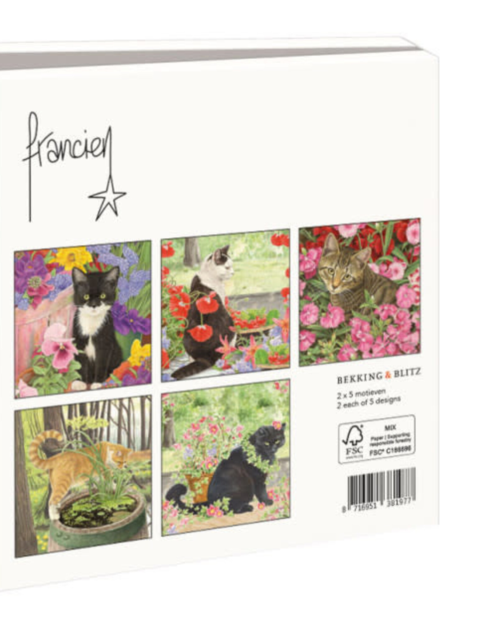 Kaartenmapje met env, vierkant: Franciens katten, Francien van Westering