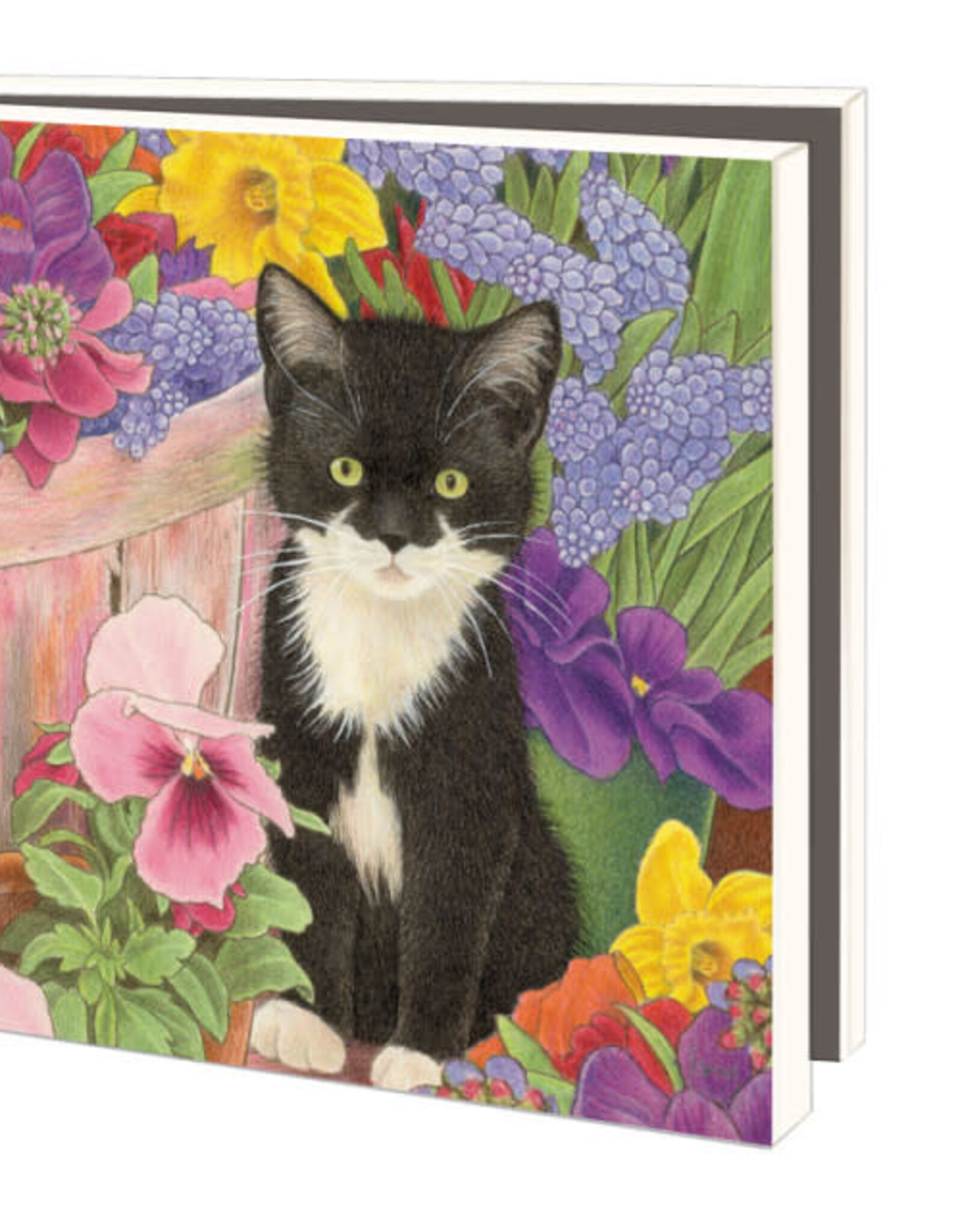 Kaartenmapje met env, vierkant: Franciens katten, Francien van Westering