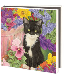 Kaartenmapje met env, vierkant: Franciens katten, Francien van Westering