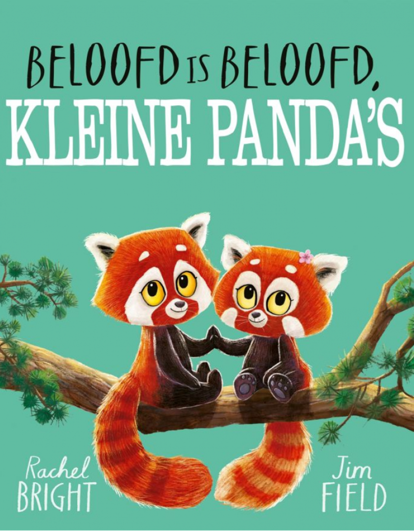 Beloofd is beloofd, kleine panda's (prentenboek)