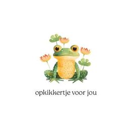 Opkikkertje voor jou - Wenskaart Cosi