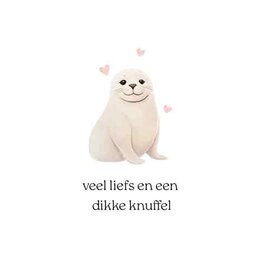 Veel Liefs en een Dikke Knuffel - Wenskaart Cosi