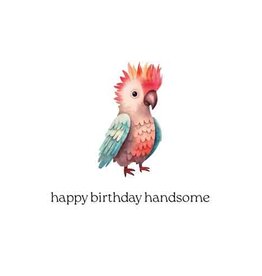 Happy Birthday Handsome - Wenskaart Cosi