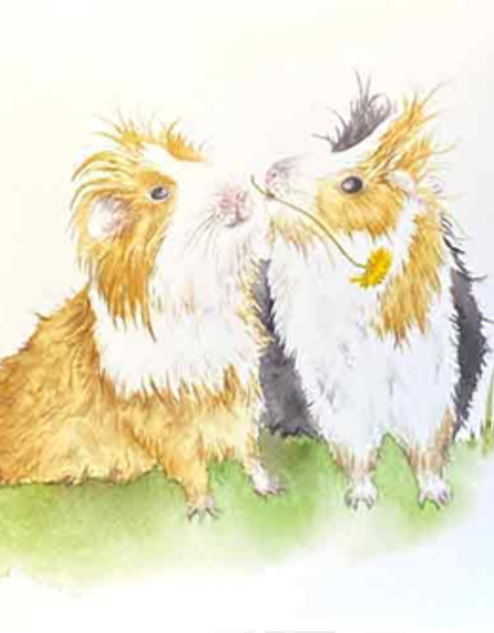 (Cavia's) - Wenskaart Love Country