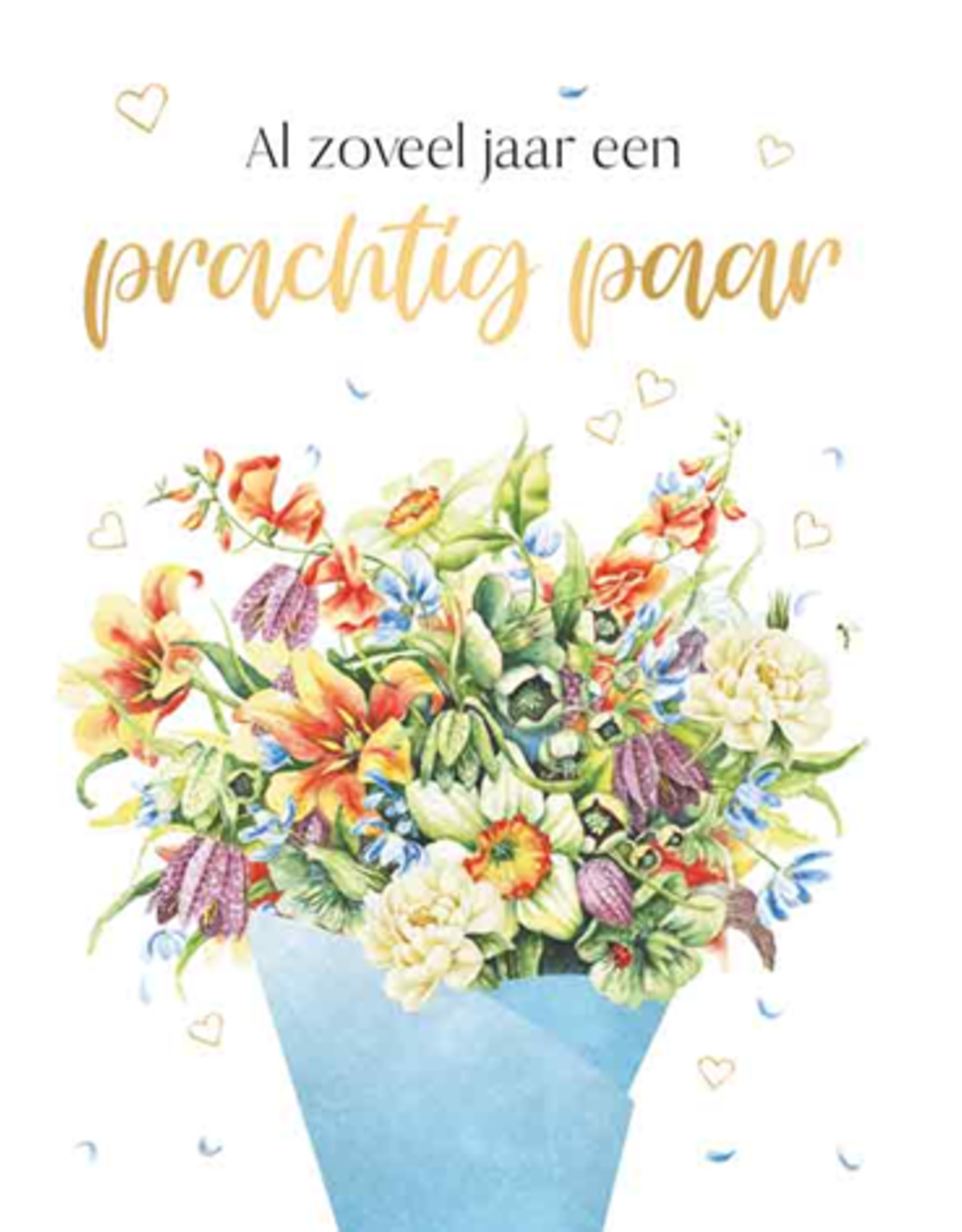 Al Zoveel Jaar een Prachtig Paar -  Janneke Brinkman