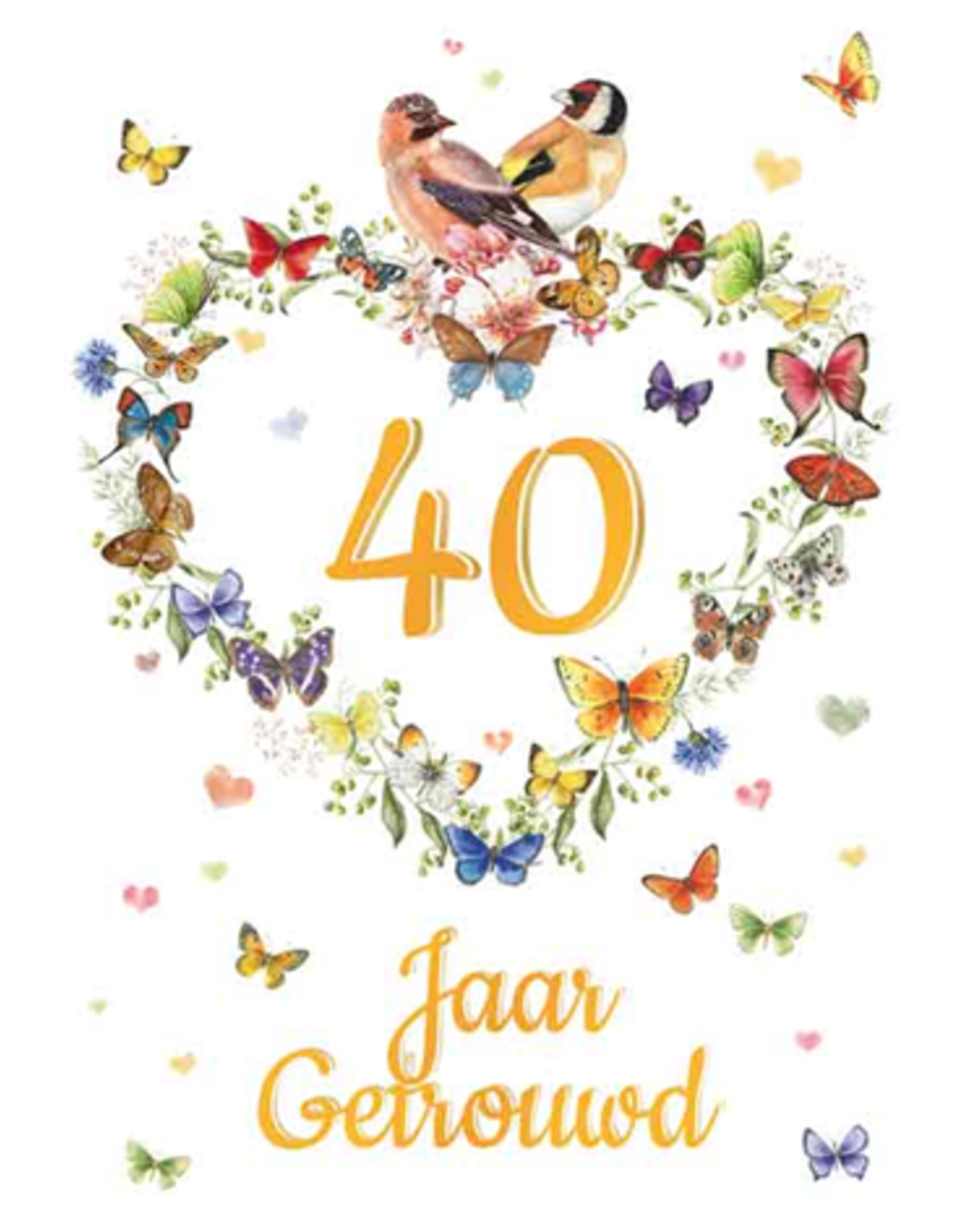 40 Jaar Getrouwd -  Janneke Brinkman