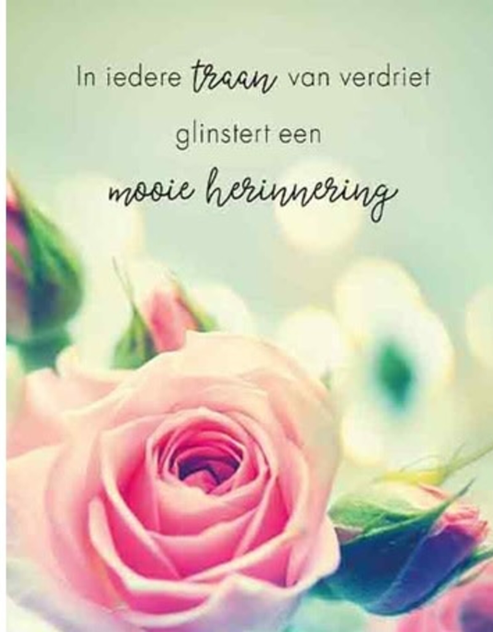 Pakje Condoleancekaarten 6stuks met Enveloppen