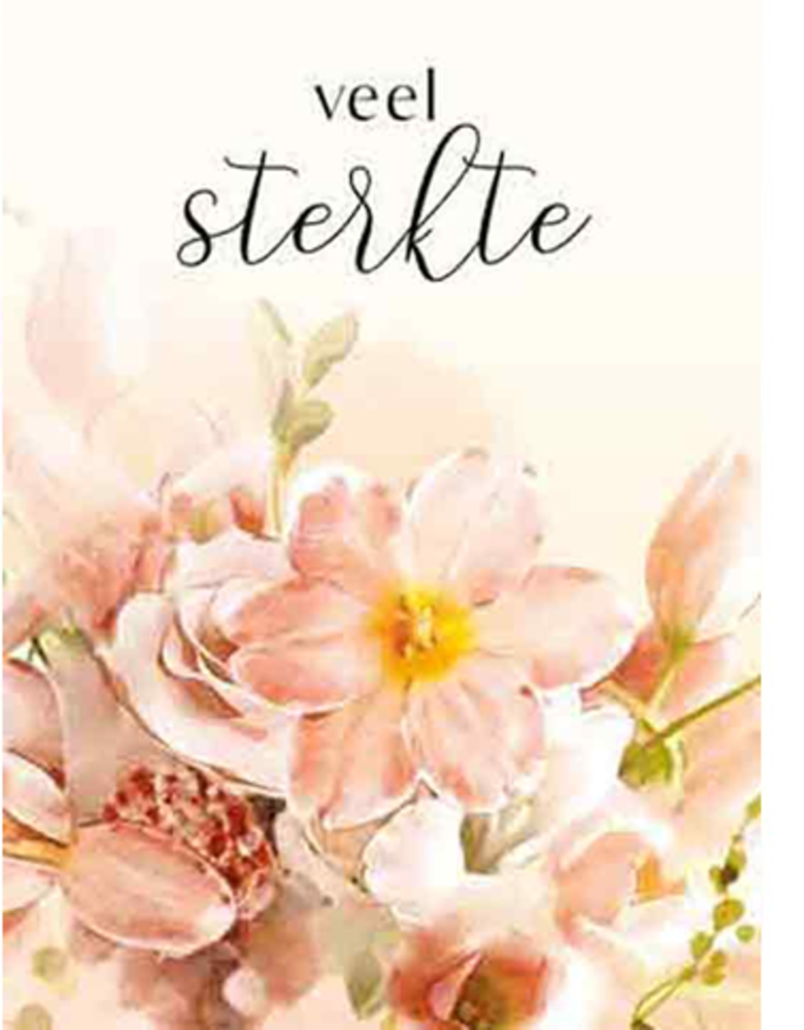 Pakje Condoleancekaarten 6stuks met Enveloppen