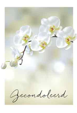 Pakje Condoleancekaarten 6stuks met Enveloppen