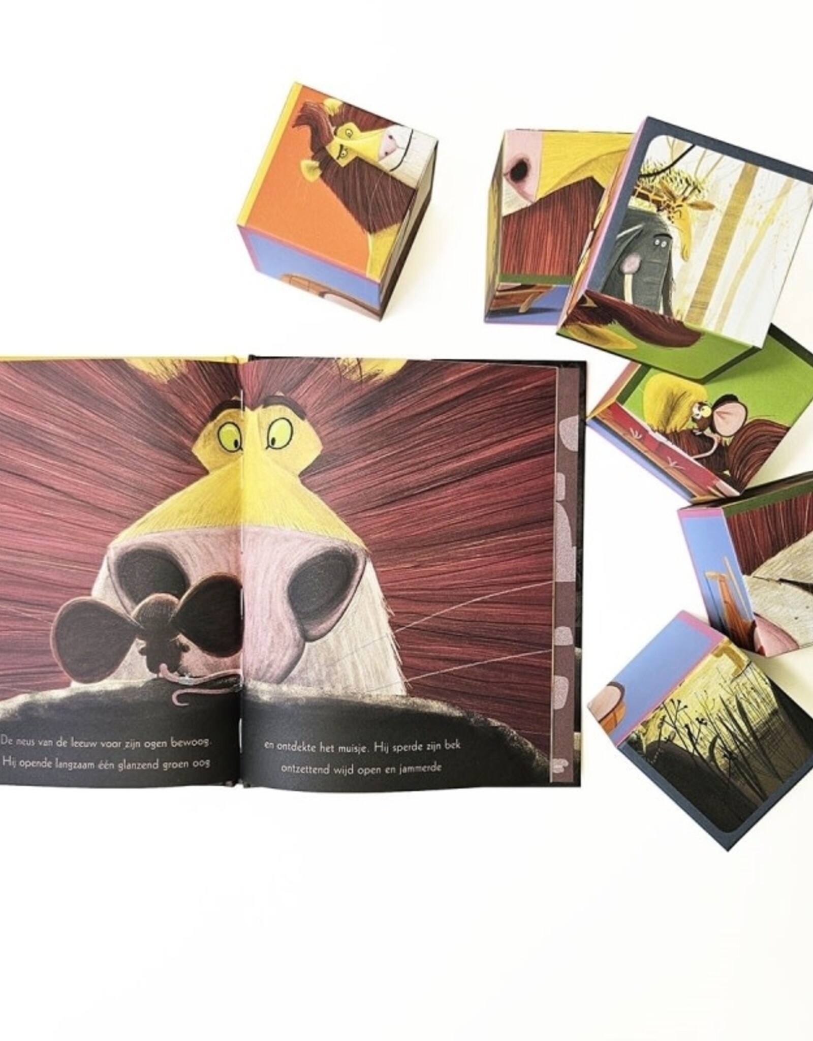 De leeuw in de muis boek en blokpuzzel