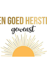 Een Goed Herstel Gewenst - Wenskaart Daisy