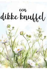 Een Dikke Knuffel - Wenskaart Compassion