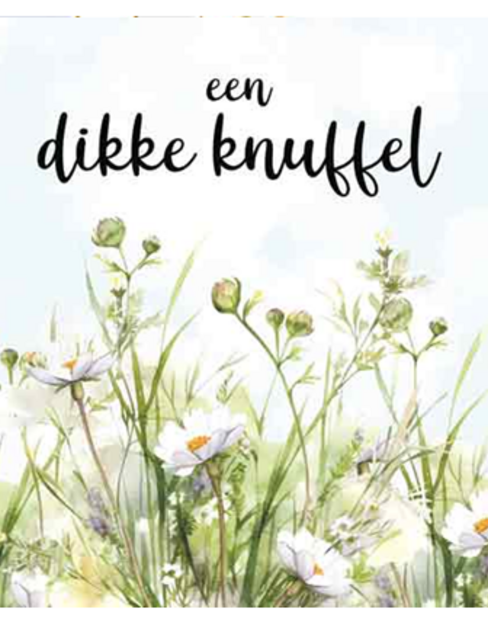 Een Dikke Knuffel - Wenskaart Compassion