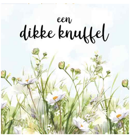 Een Dikke Knuffel - Wenskaart Compassion