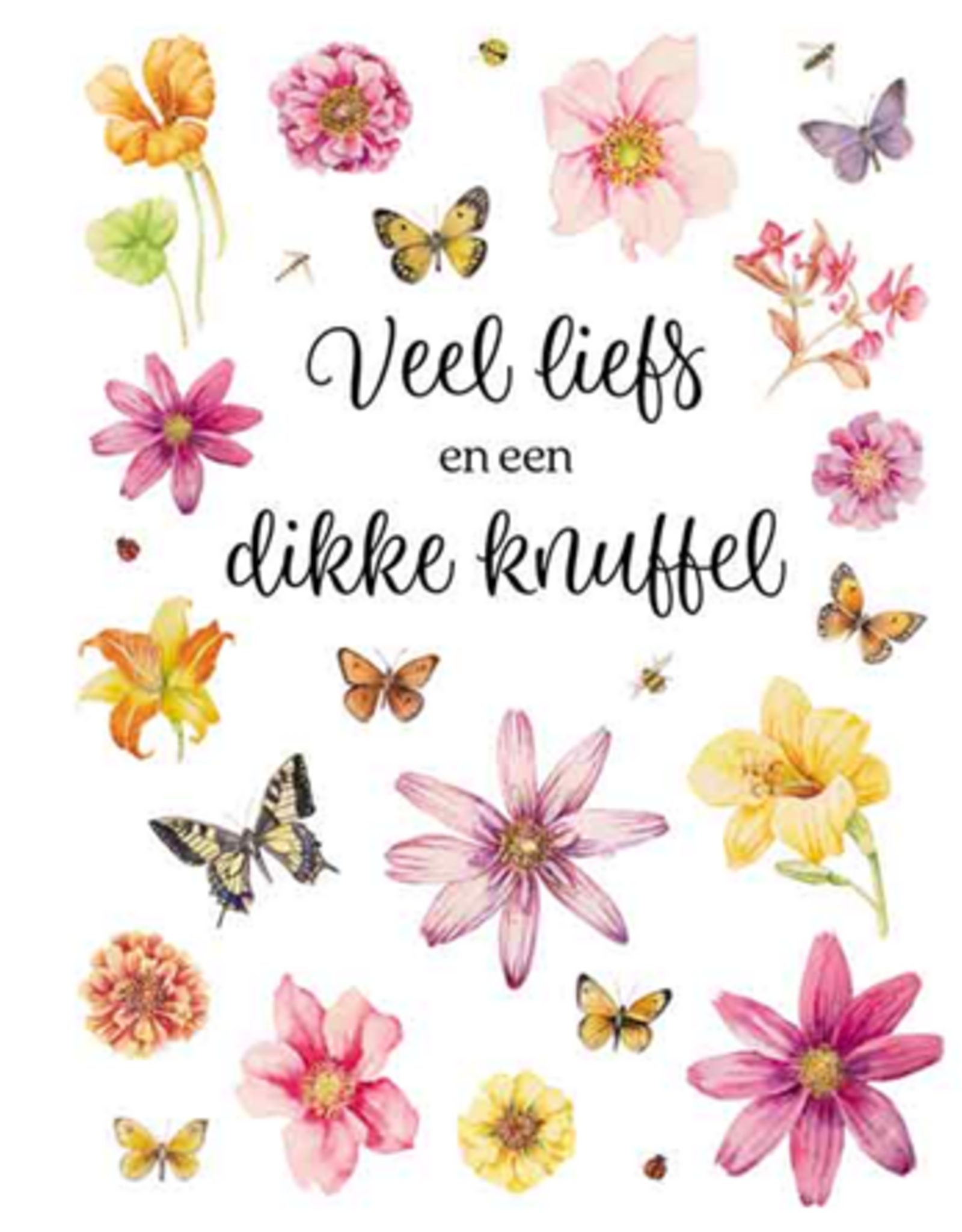 Wenskaart Groot Veel Liefs en een dikke Knuffel -  Janneke Brinkman