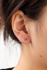 Day & Eve by Go Dutch Label Oorbellen (E56153-2) 14K Goud - Day & Eve by Go Dutch Label