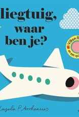 Vliegtuig, waar ben je? - Met vilten Flapjes en een spiegeltje