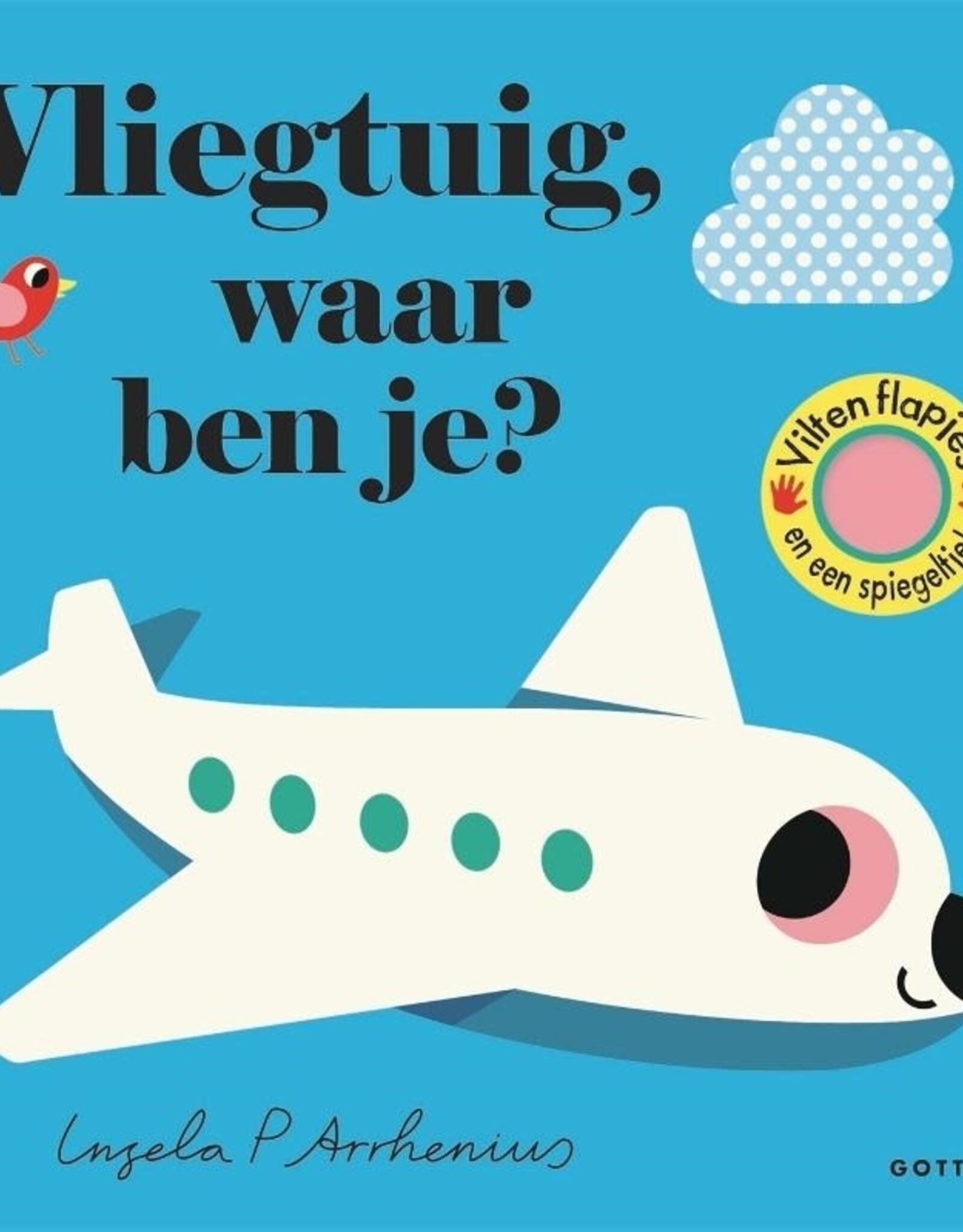 Vliegtuig, waar ben je? - Met vilten Flapjes en een spiegeltje