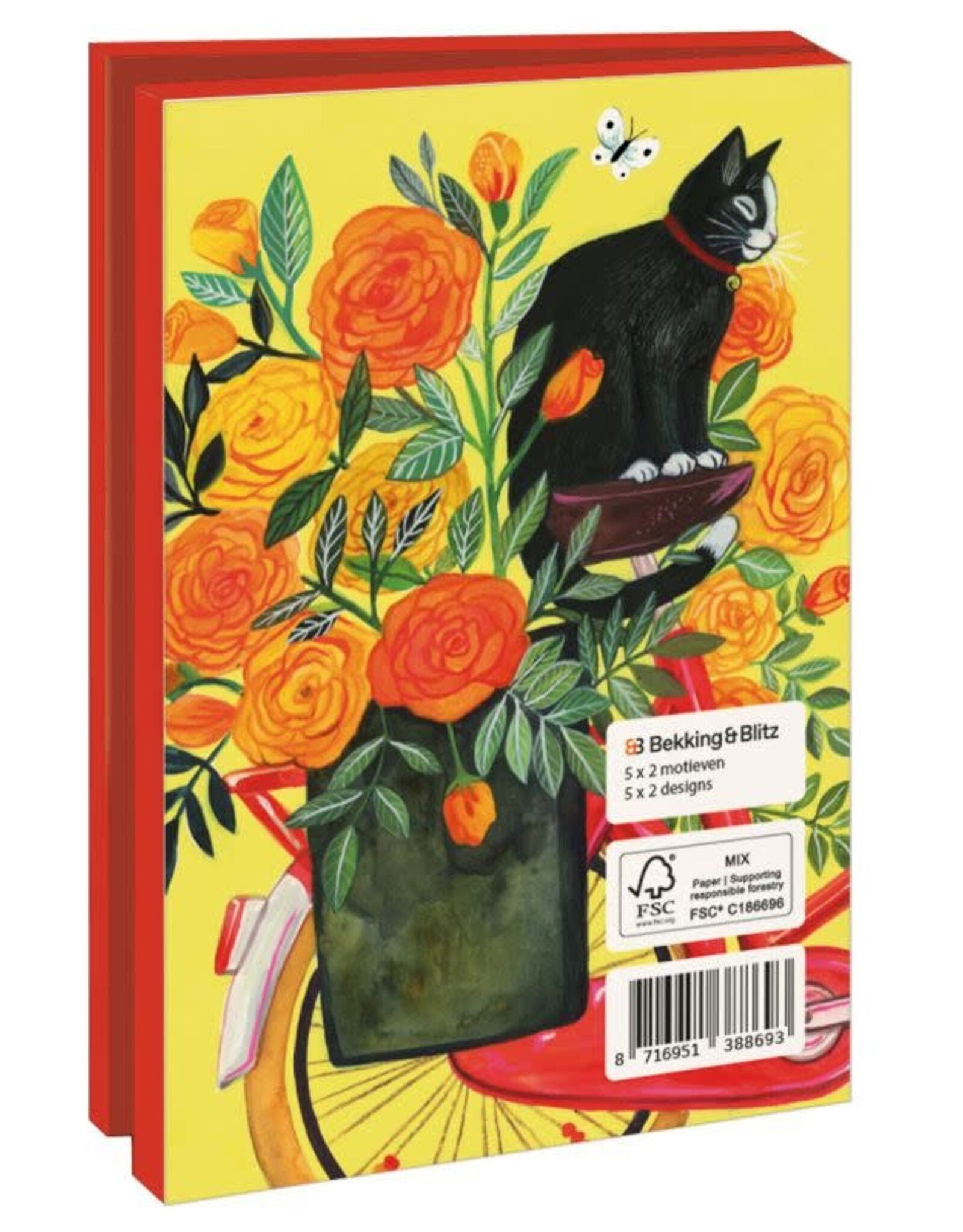 Kaartenmapje met env, klein: Special delivery, Miriam Bos