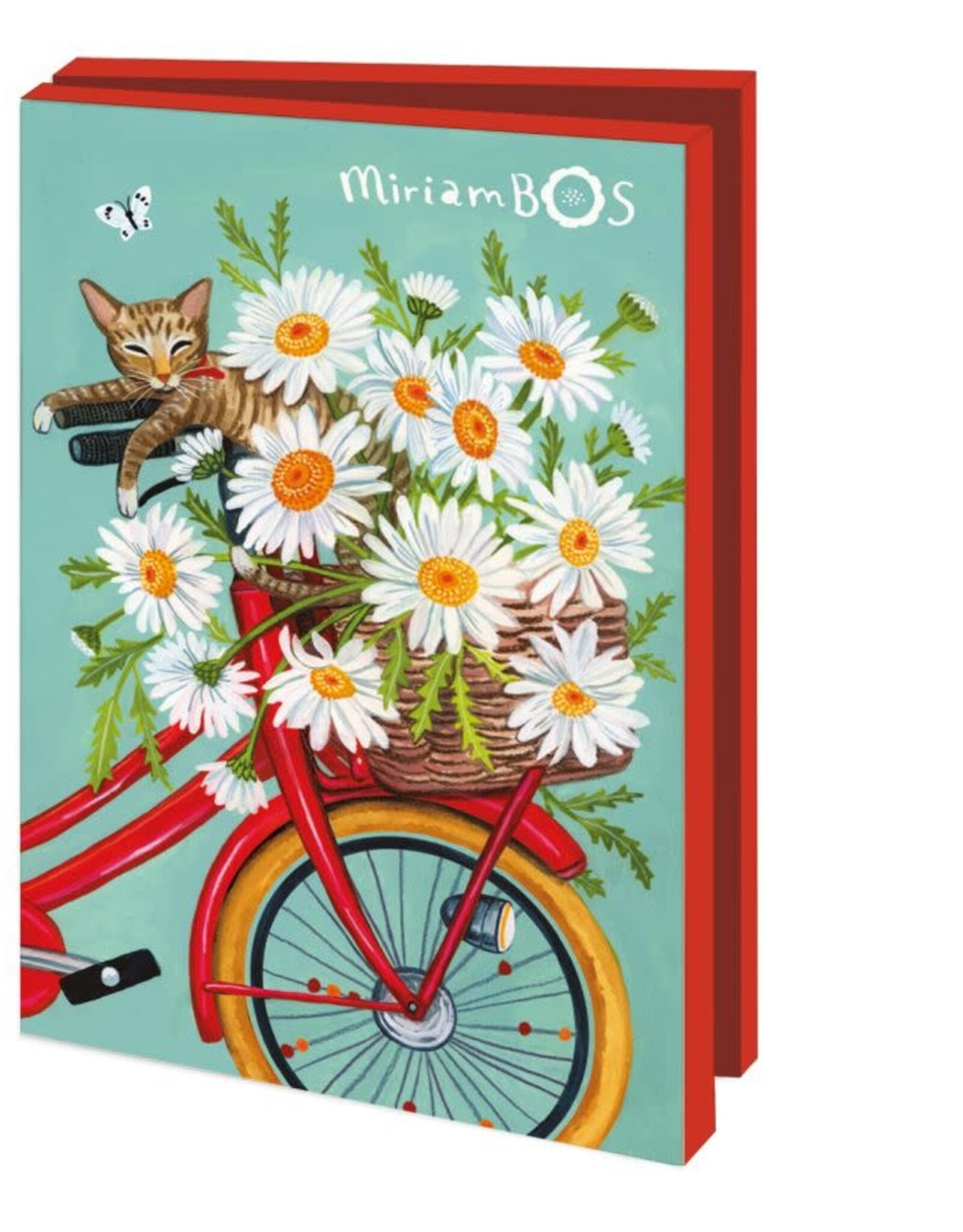 Kaartenmapje met env, klein: Special delivery, Miriam Bos