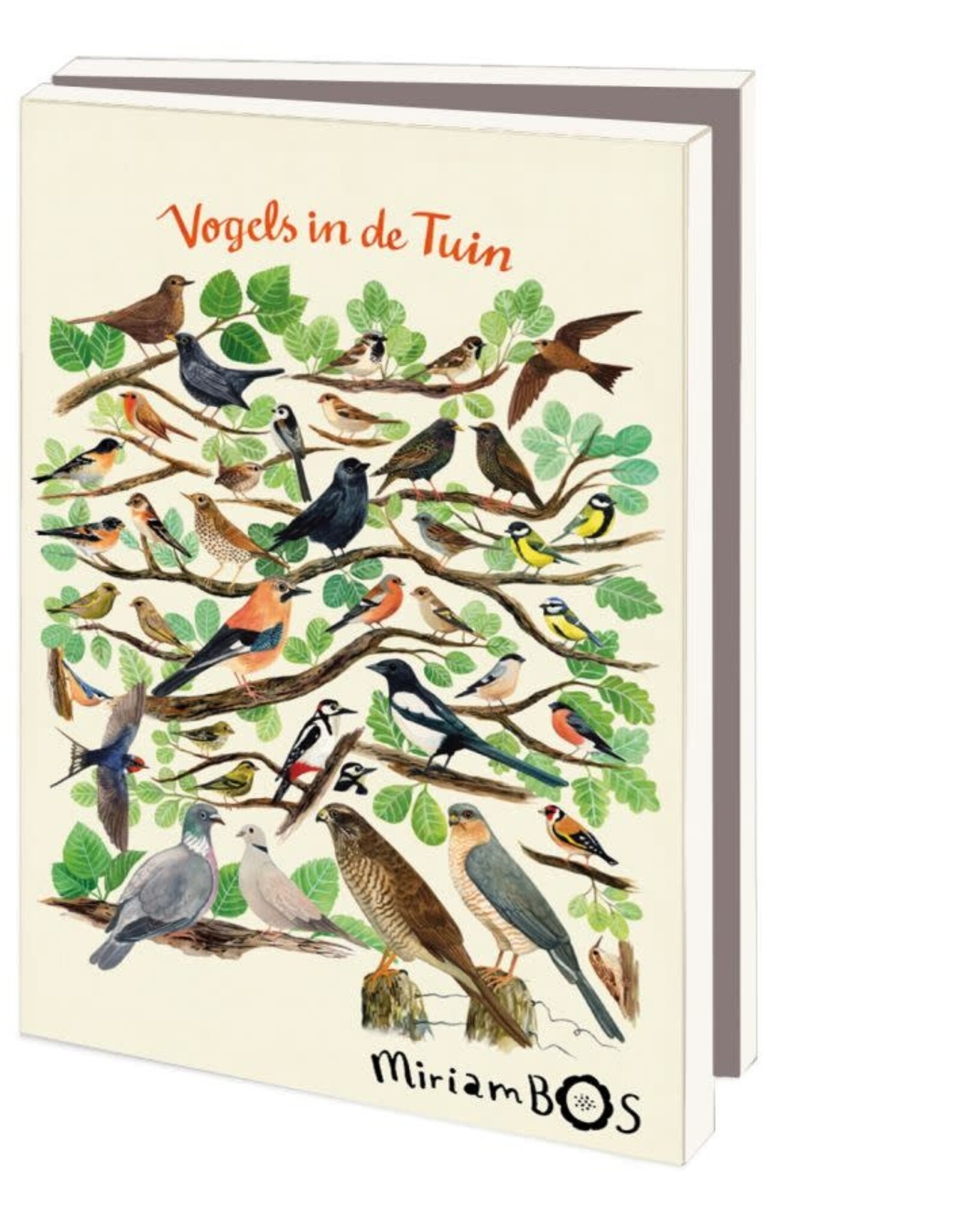 Kaartenmapje met env, klein: Vogels in de tuin, Miriam Bos