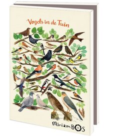 Kaartenmapje met env, klein: Vogels in de tuin, Miriam Bos