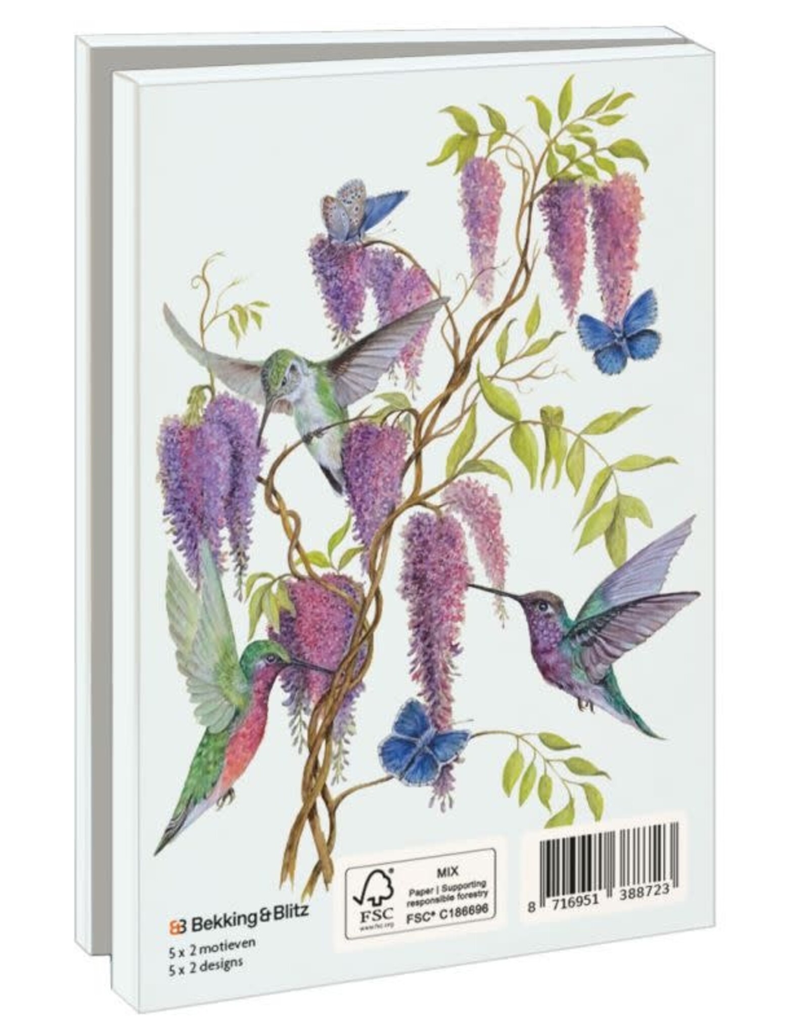 Kaartenmapje met env, klein: Birds & Flowers, Dennis Meijering