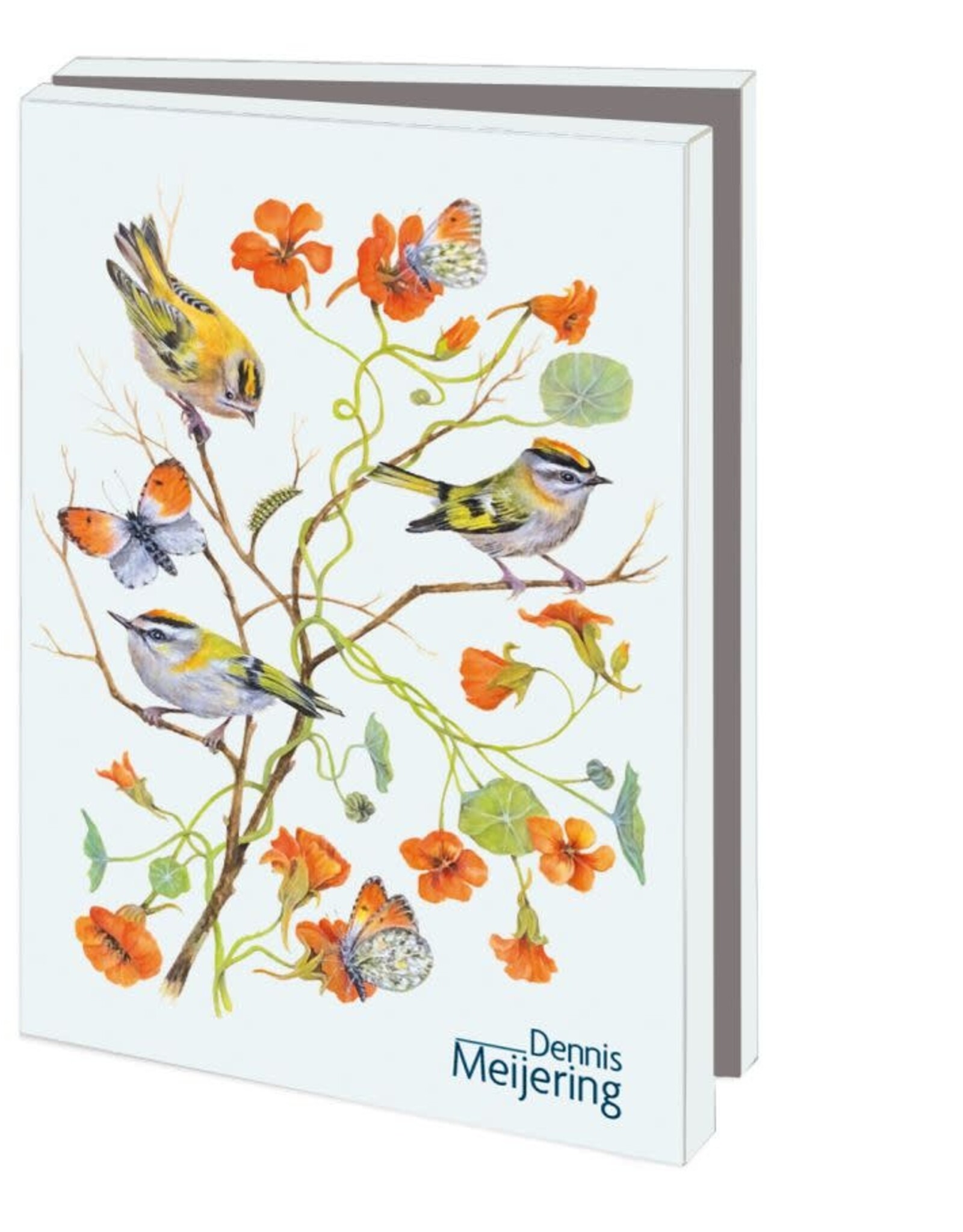 Kaartenmapje met env, klein: Birds & Flowers, Dennis Meijering